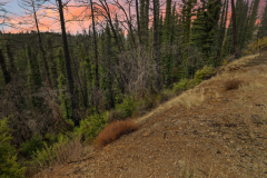 046_5o9a3633.1_851