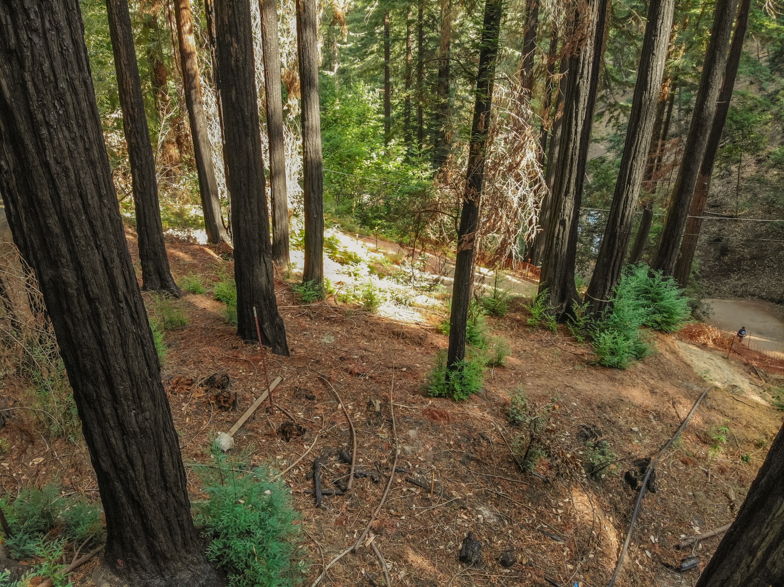 created by dji camera