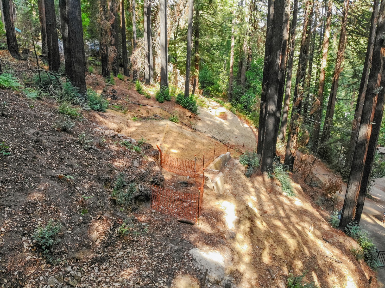 created by dji camera