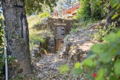 12aa-root-celler