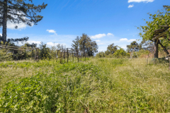 12b-garden-area