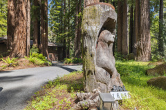20-carved-bear