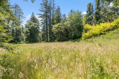 02-green-open-grass-area
