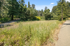 02b-lower-meadow