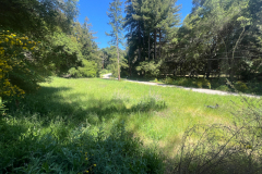 07a-lower-meadow