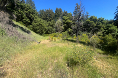 08c-house-site