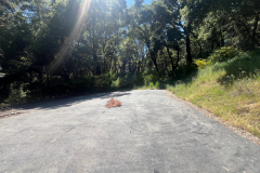 08d-paved-driveway