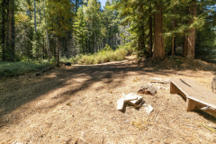12-bench