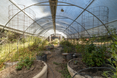05a-greenhouse