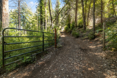 08-gate