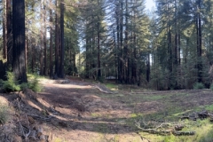 17-pano