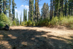 02-flat-trees-view