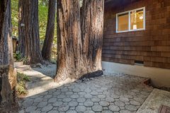 14b-trees-pavers