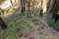 Land below parking area
