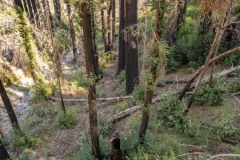 Land above creek