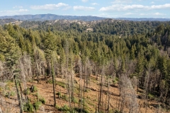 1-drone1-view