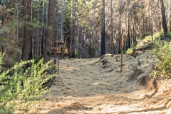 15-gate