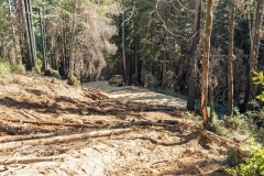 18-lookingdownlanding