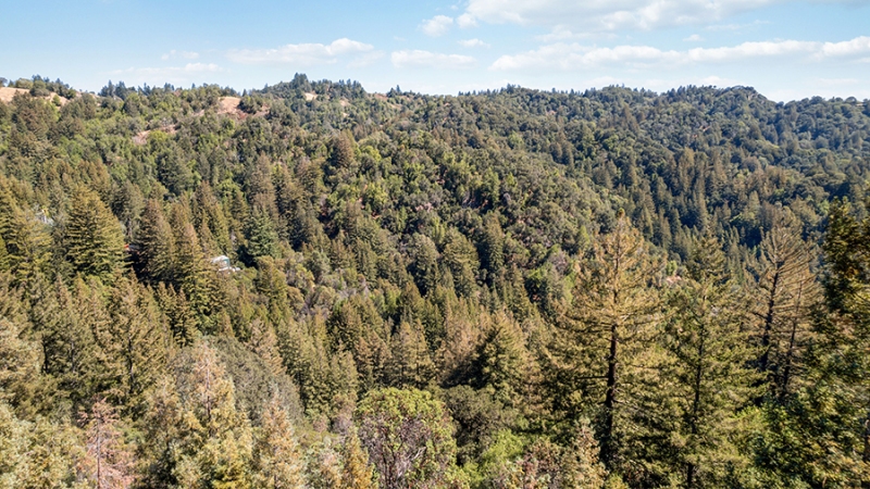 12view-looking-back-at-land