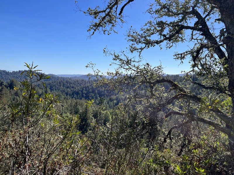 1view