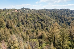 12view-looking-back-at-land