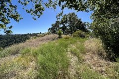 knoll-with-views-lot11-bearcanyon