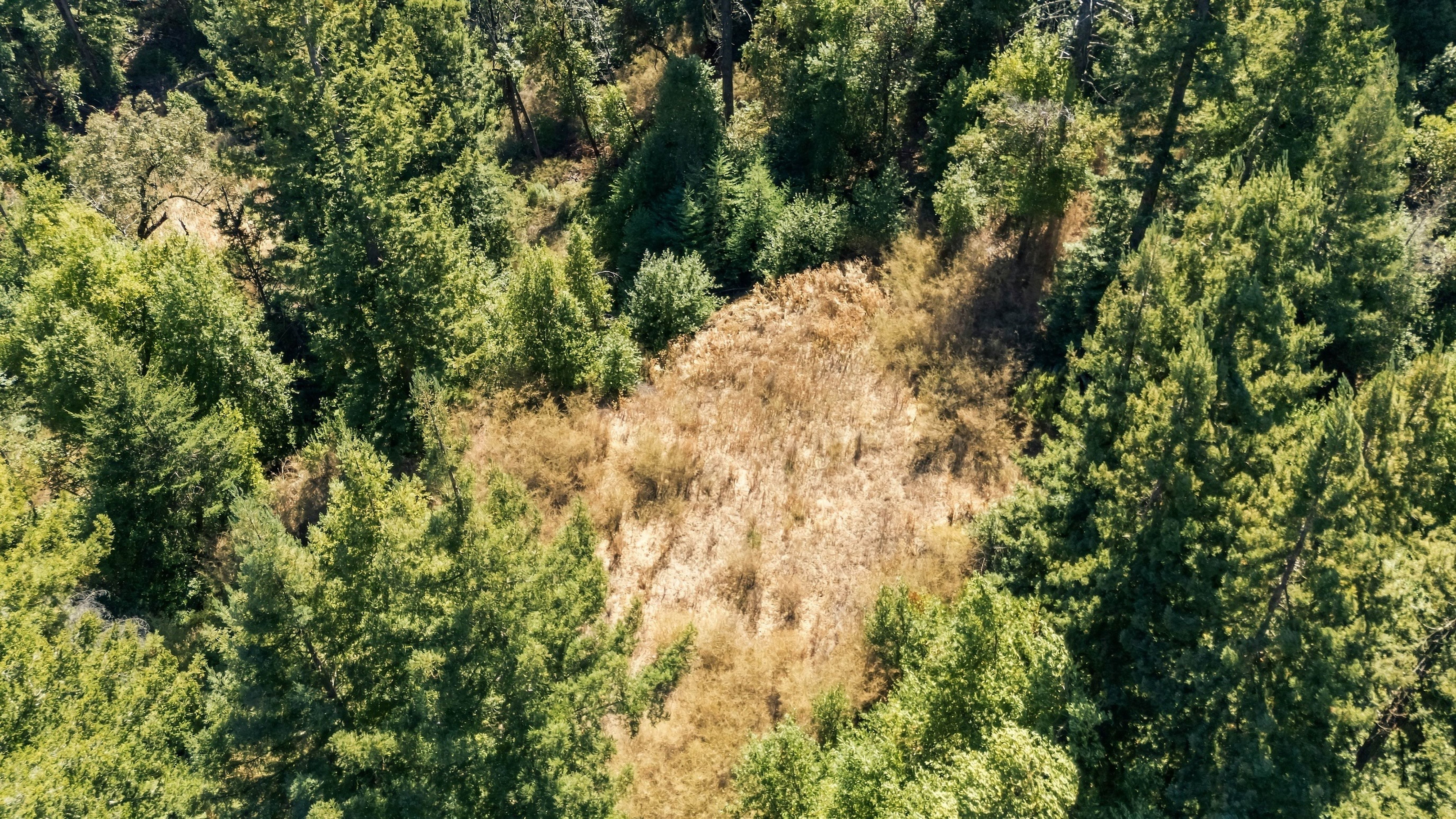 035_dji_20260929125549_0138_d_816