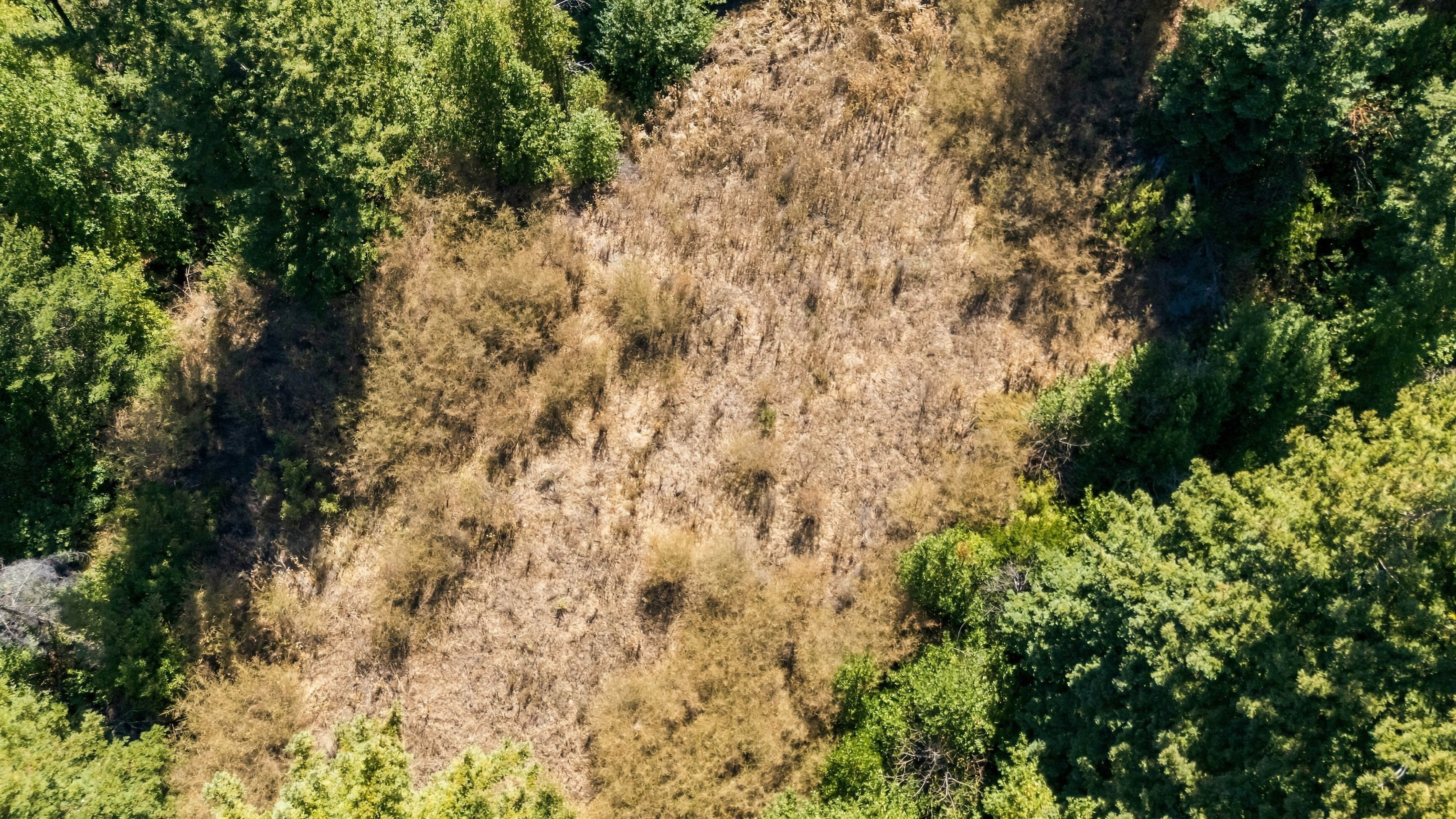 036_dji_20260929125556_0139_d_659