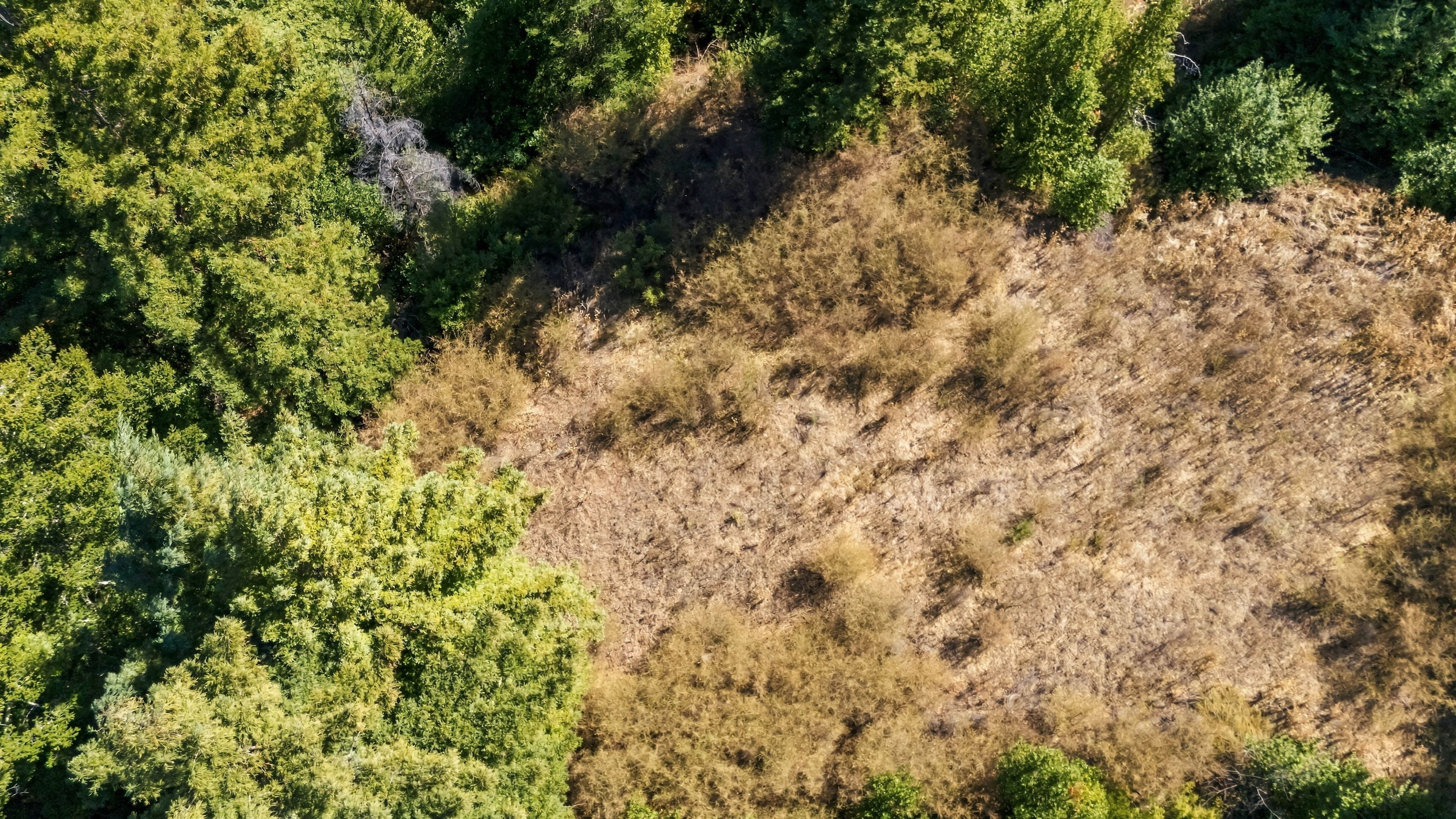 037_dji_20260929125614_0140_d_478