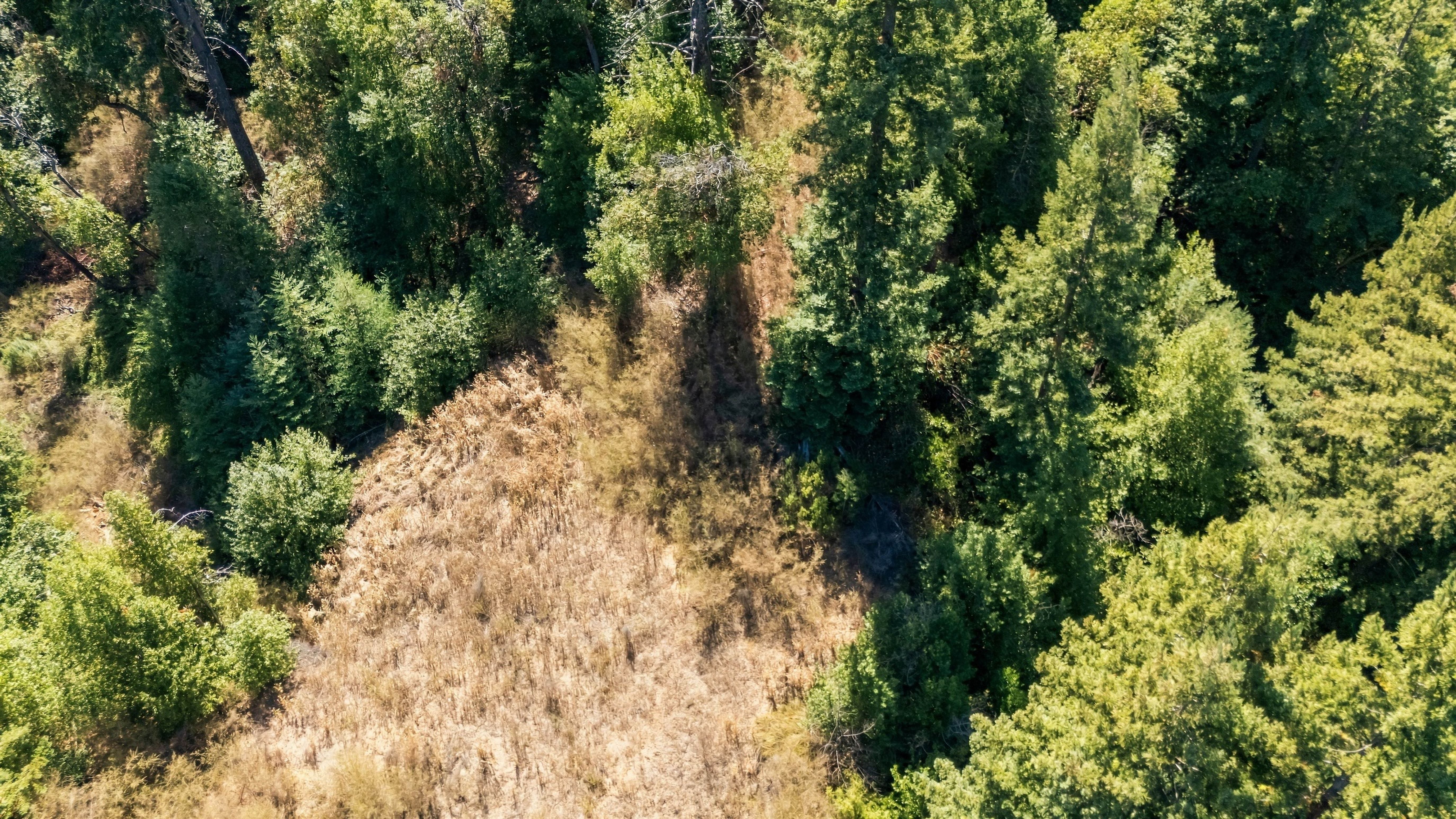 038_dji_20260929125622_0141_d_174