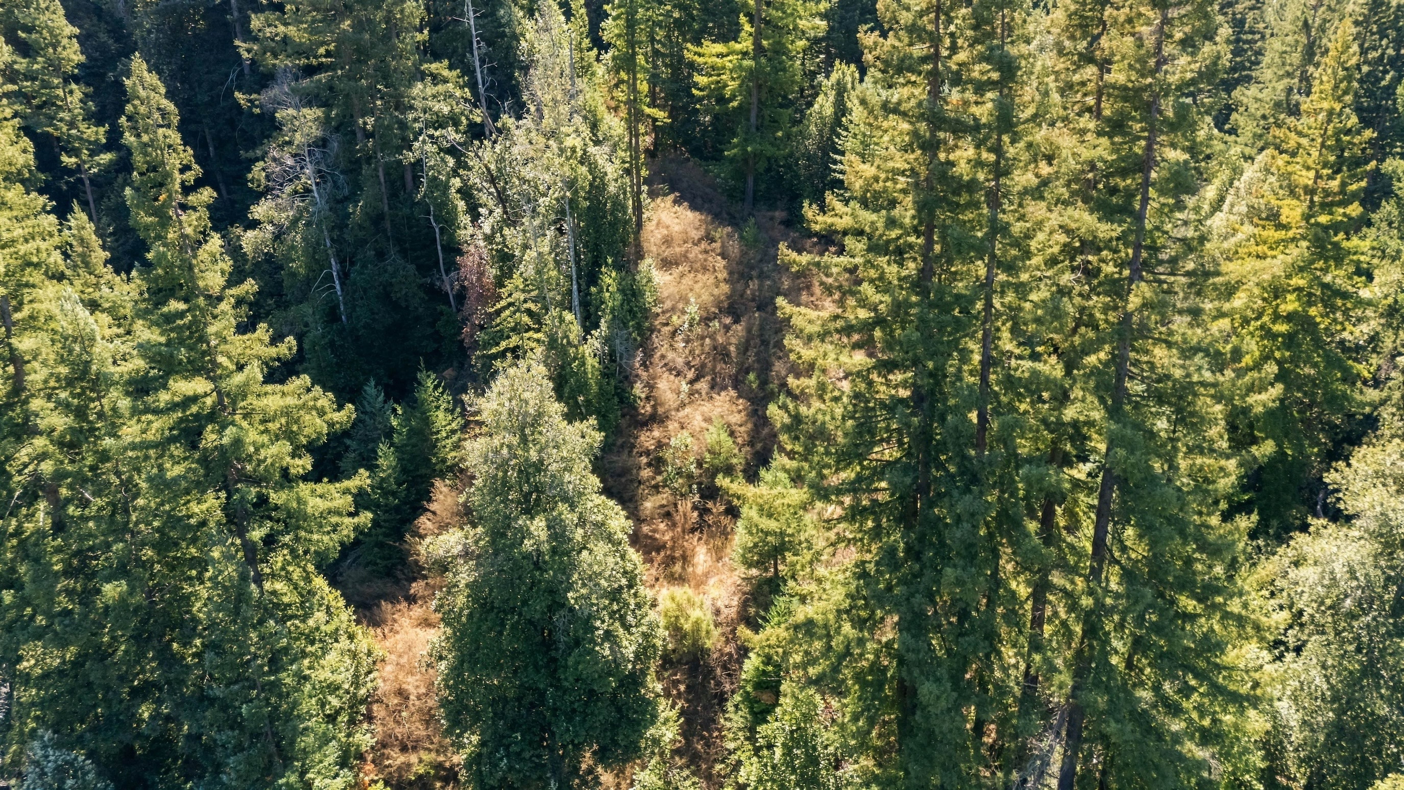 044_dji_20260929125429_0136_d_650