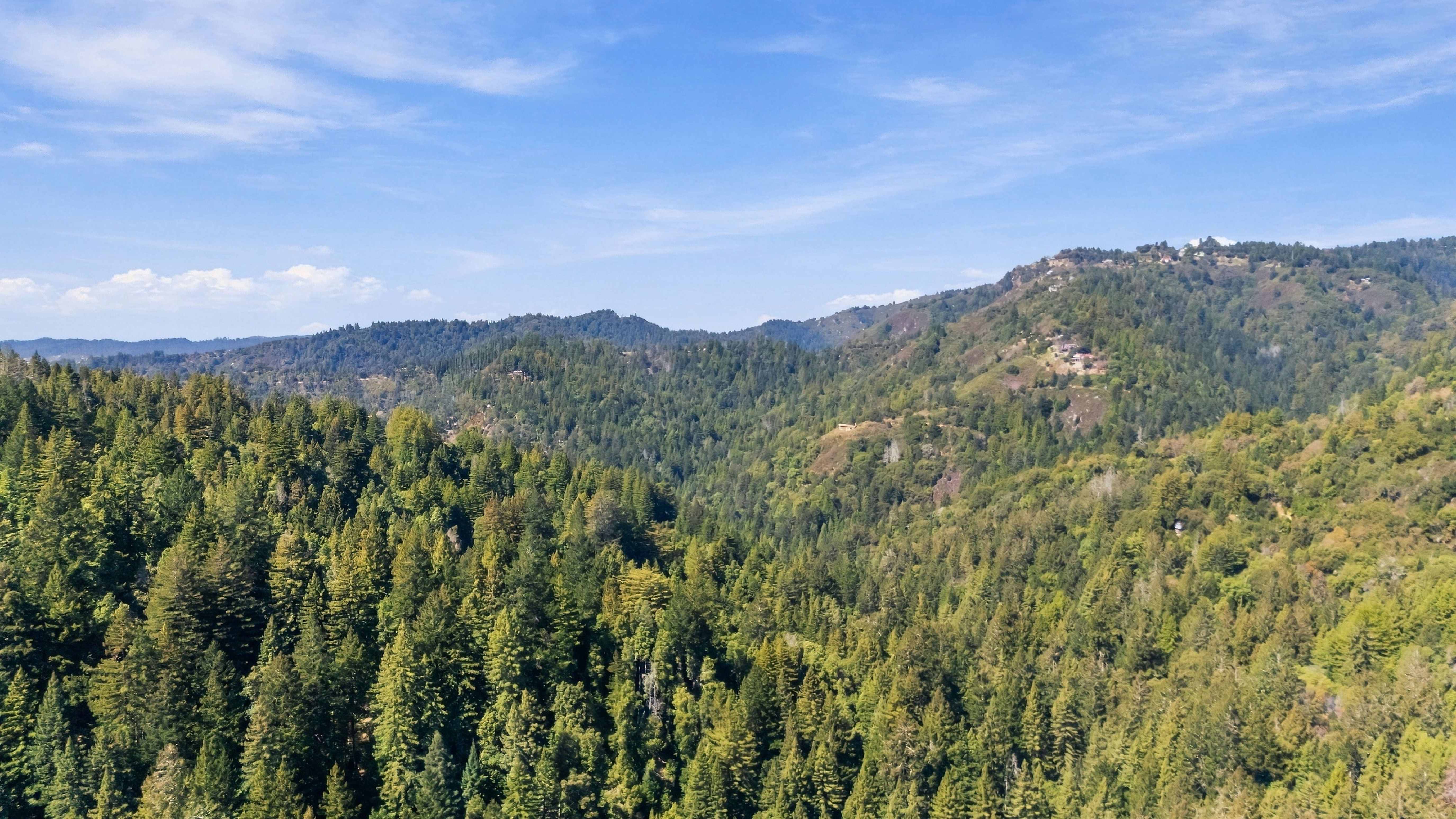 054_dji_20260929123550_0125_d_181