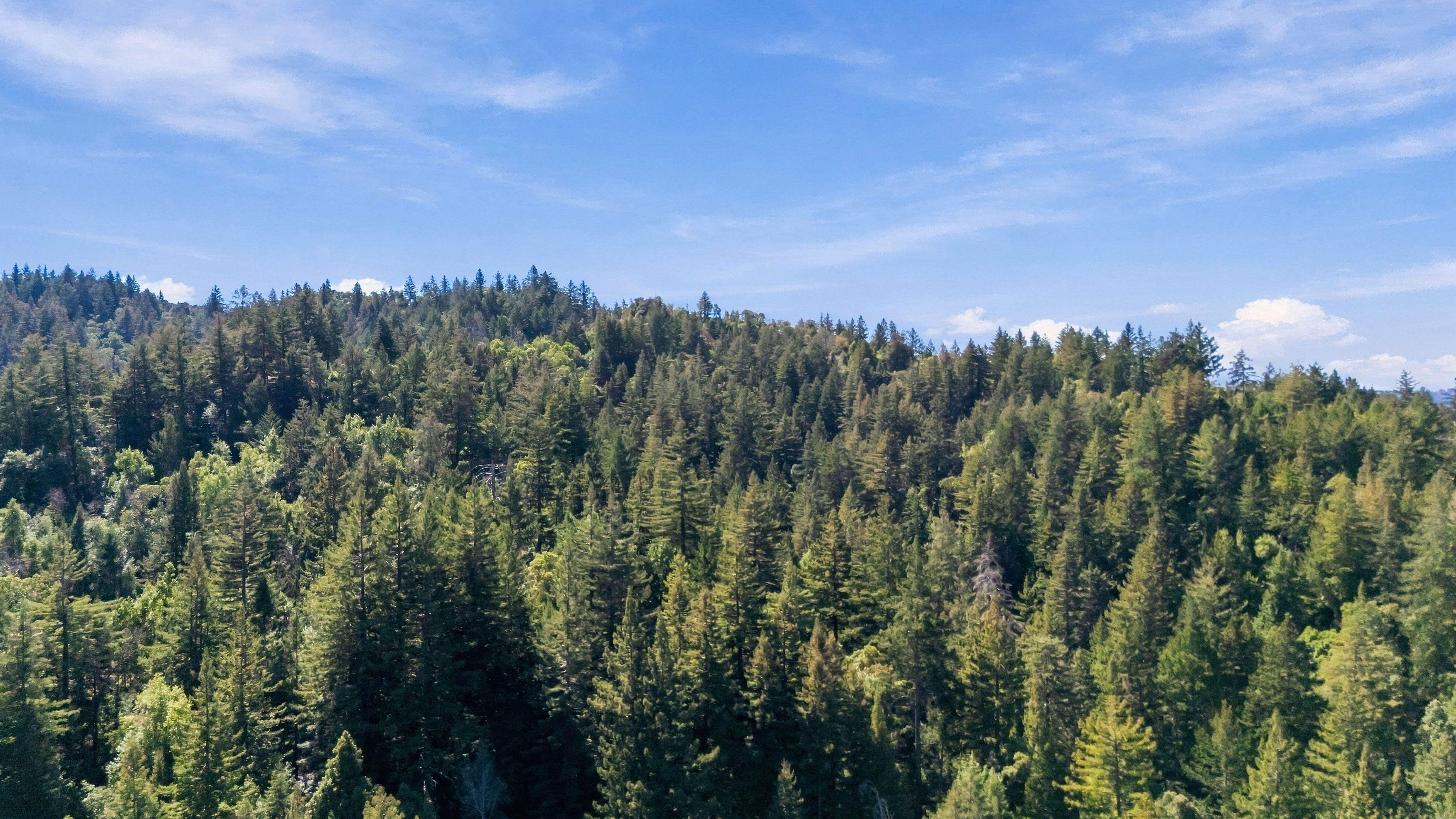 055_dji_20260929123649_0129_d_784