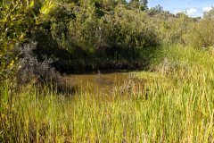 1_05-water-source