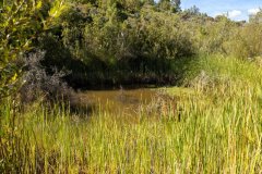 05-water-source