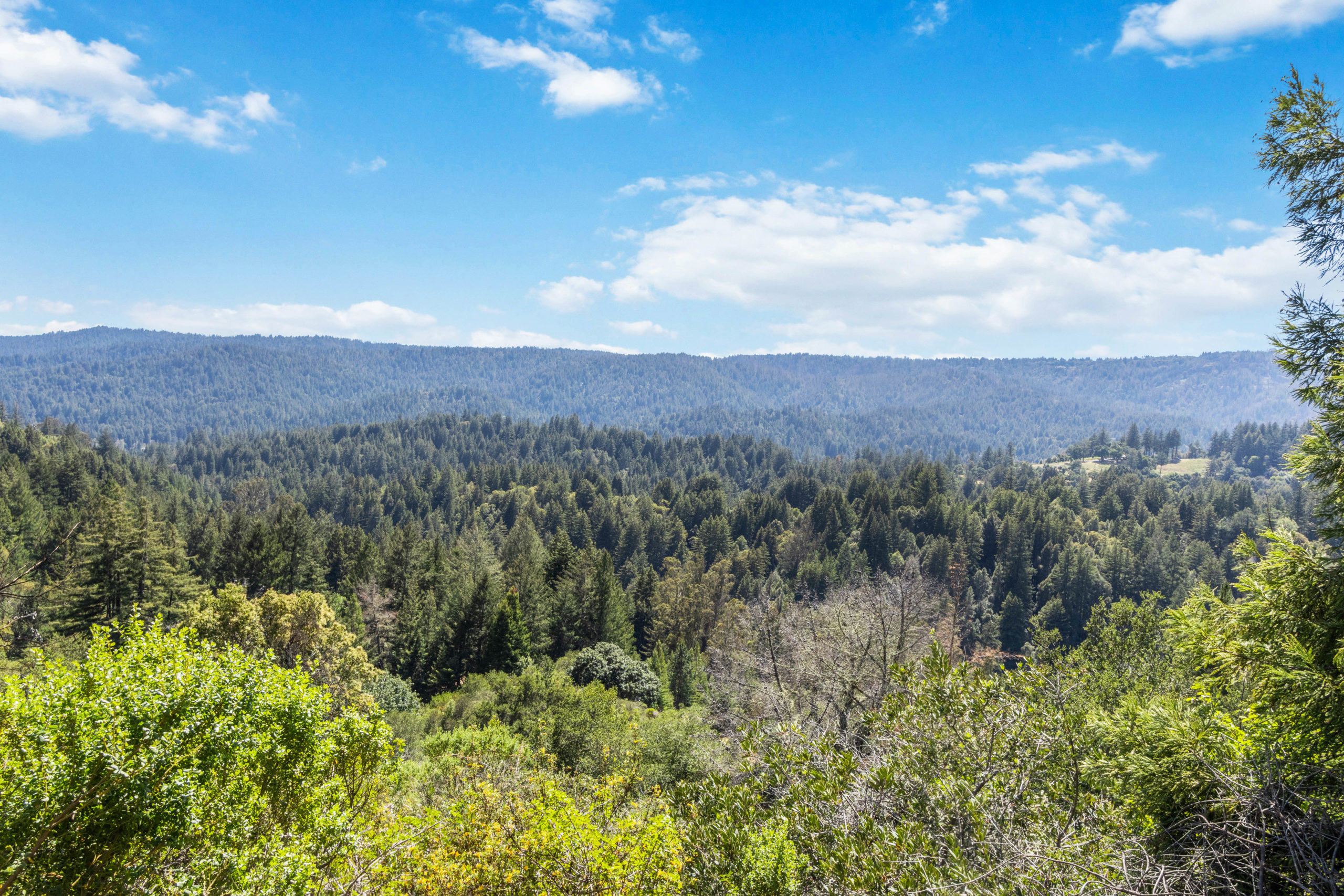 Lot 13 Love Creek RdBen Lomond, CA 95005