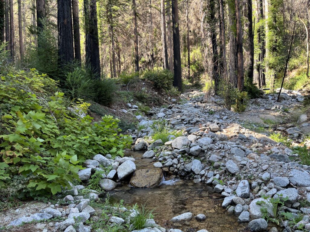 Lot 04 Boulder Brook Drive<br/>Boulder Creek, CA