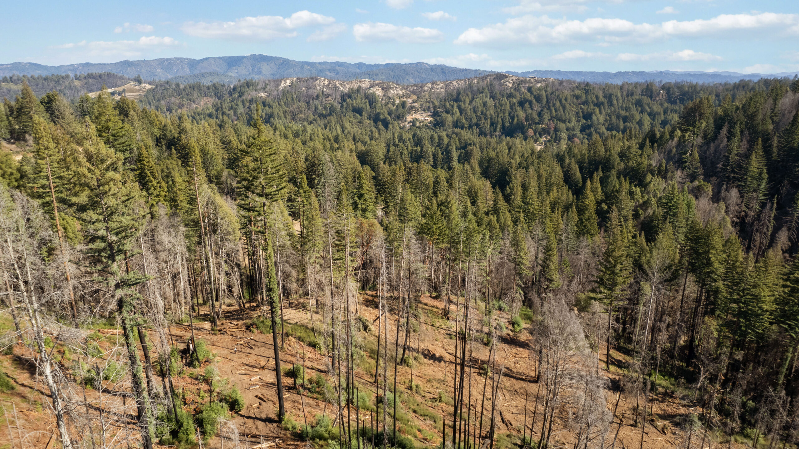Lot 06 Branson Ranch RdBoulder Creek,CA