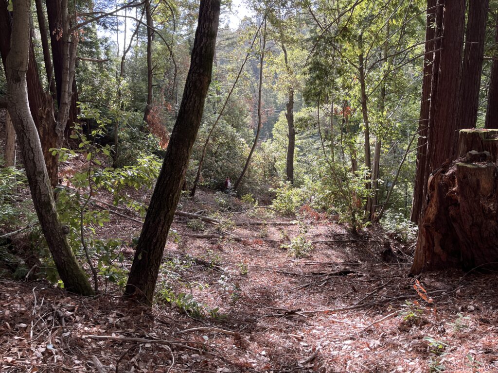 Lot 321-06 Glenwood Drive<br/>Scotts Valley, CA