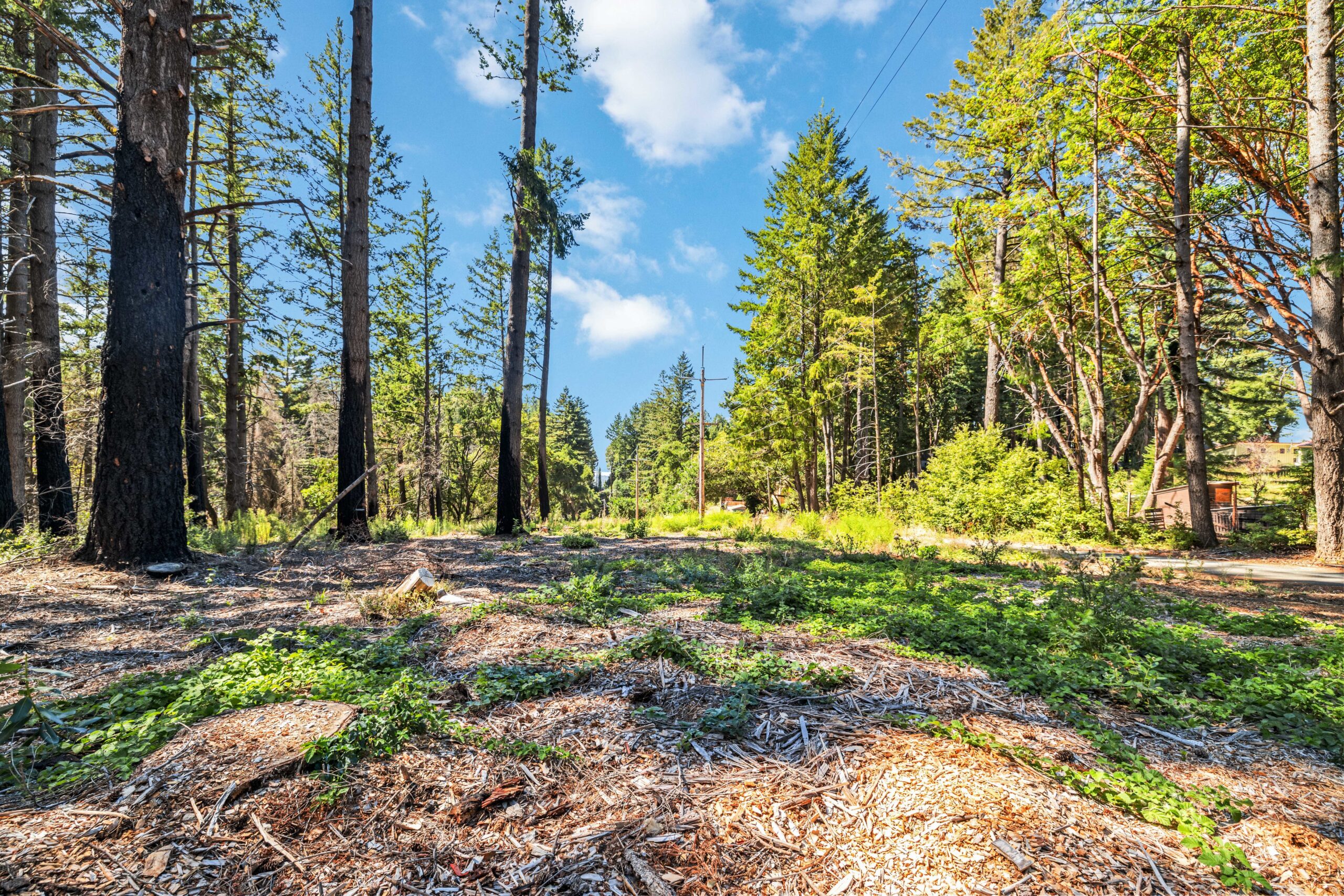 Lot 11 Vick DriveBonny Doon, CA