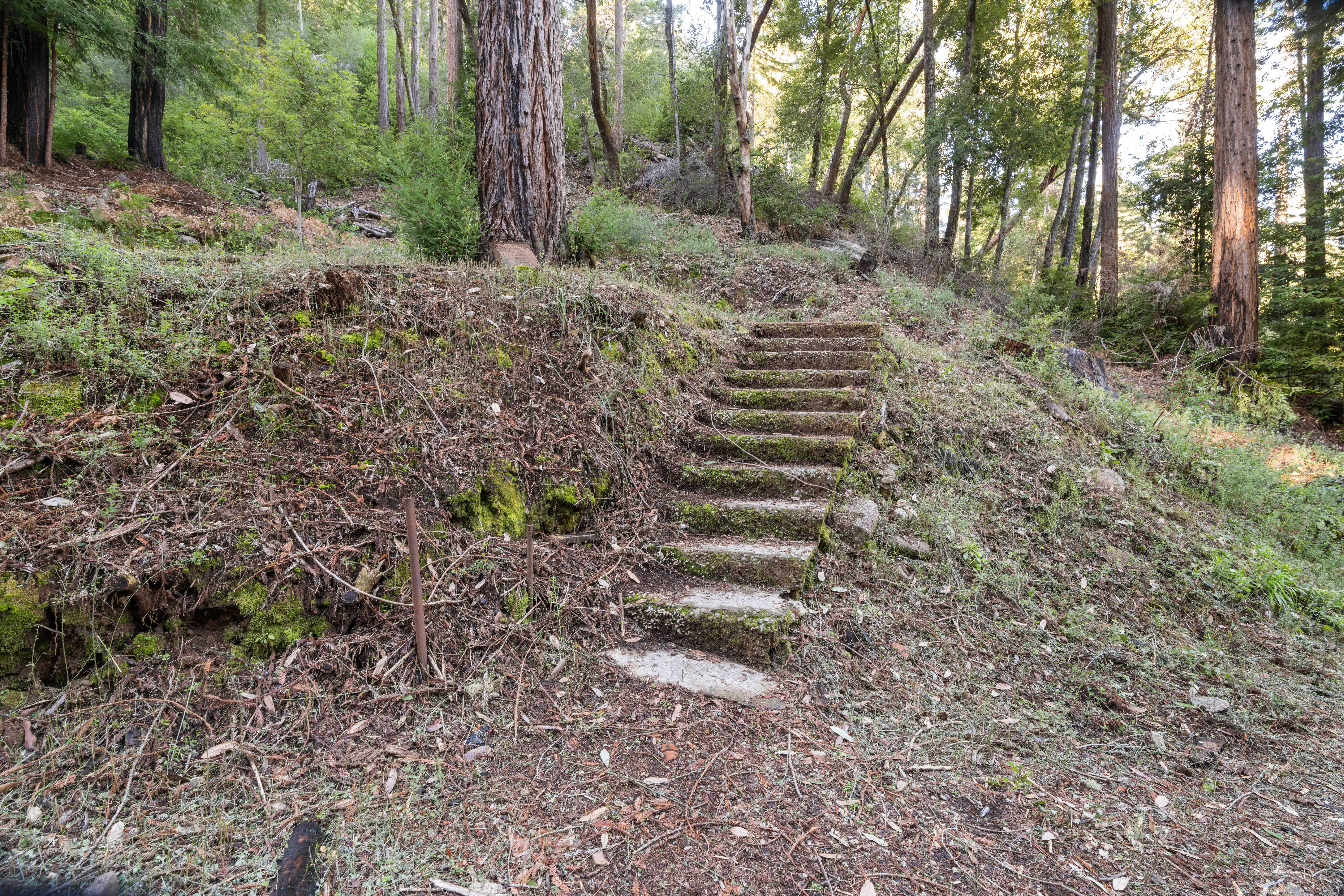 511 Waldeberg Rd Ben Lomond, CA