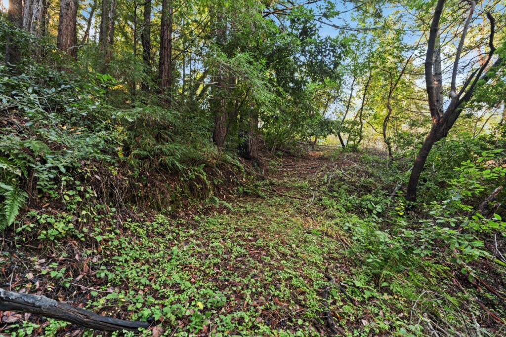 Lot 50 Middle Ellen Rd<br/>Los Gatos, CA