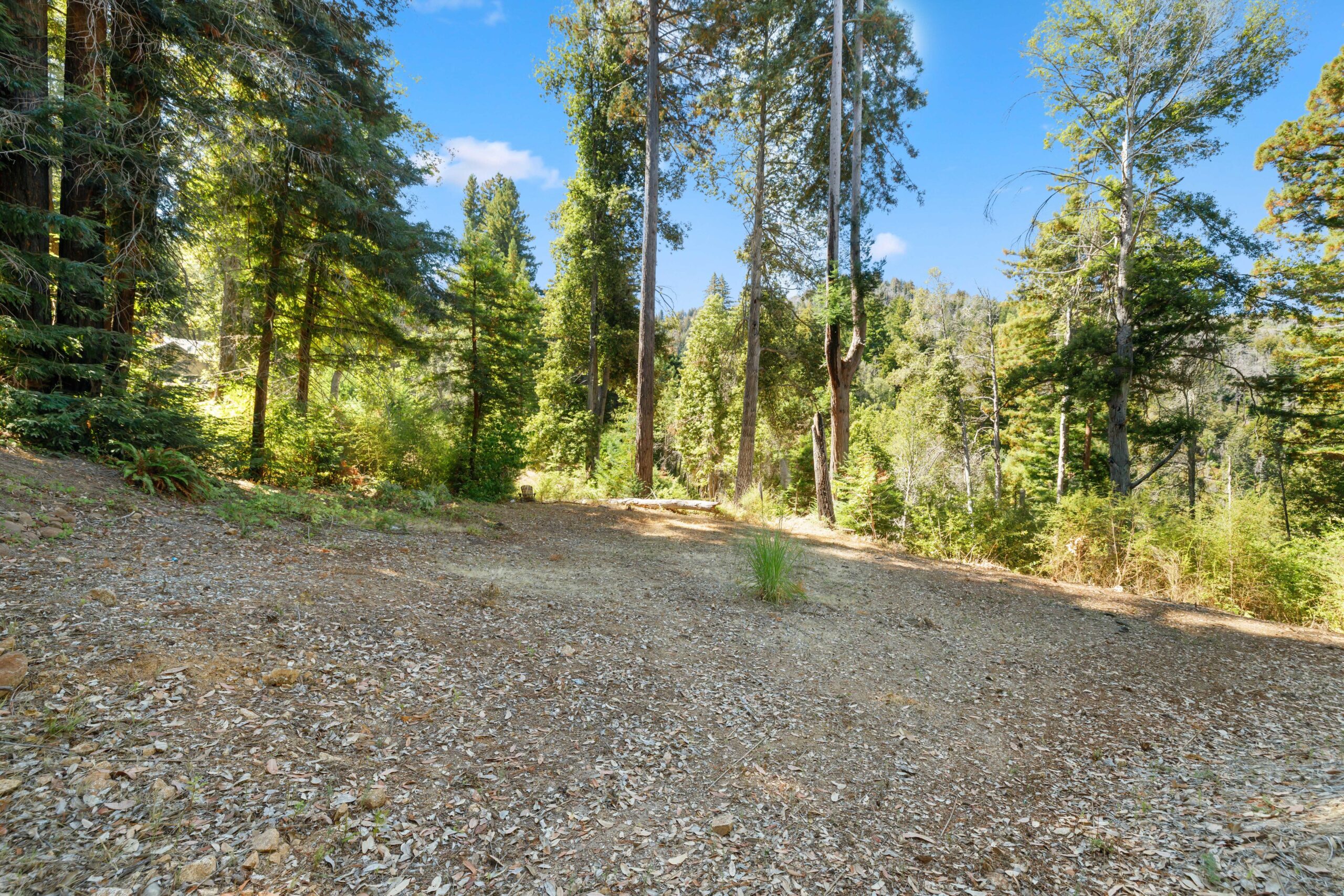 185 Sweetwater Lane Ben Lomond, CA 95005