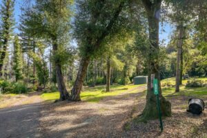 500 WildBerry<br/> Boulder Creek, CA 95006