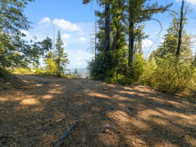 2472 Fanning Grade Ben Lomond, CA 95005