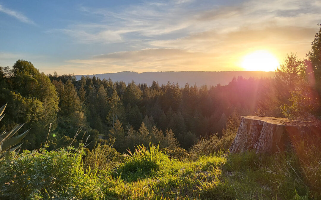 18060 Moonrise Road  Boulder Creek, CA 95006