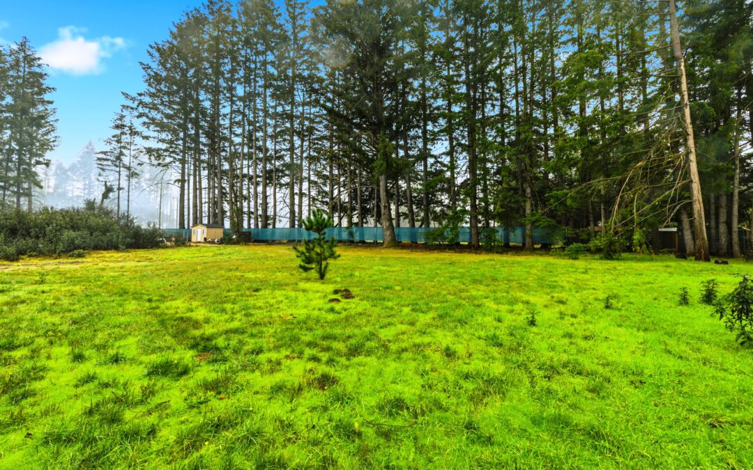 60 Braemoor Drive  Santa Cruz, CA 95060