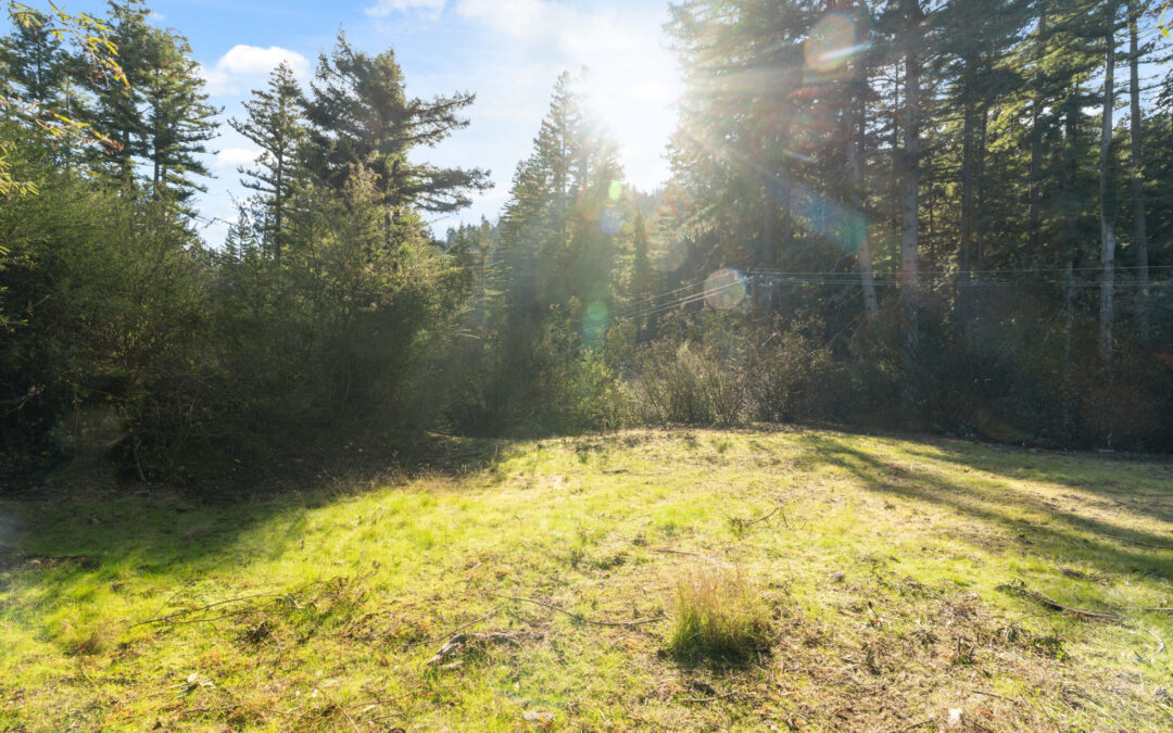 16470 Jamison Creek Road  Boulder Creek, CA 95006