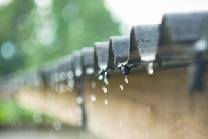 Reading the Rain