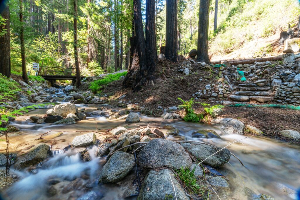 11800 Clear Creek <br/> Brookdale, CA 95007